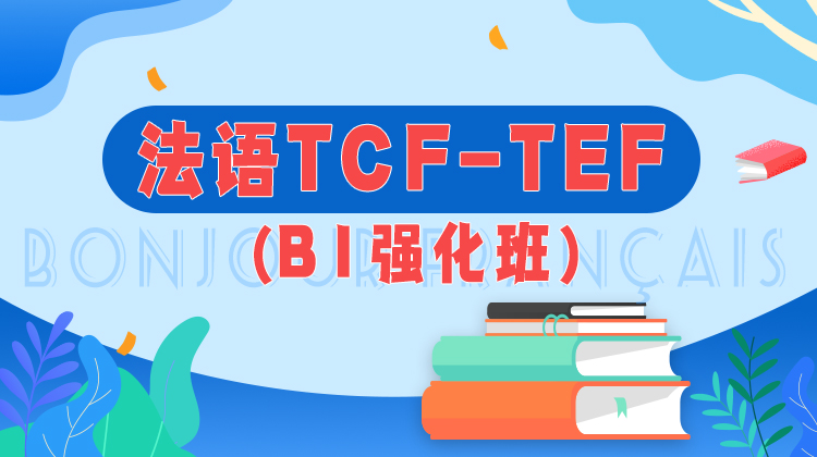 法语TCF-TEF B1强化班
